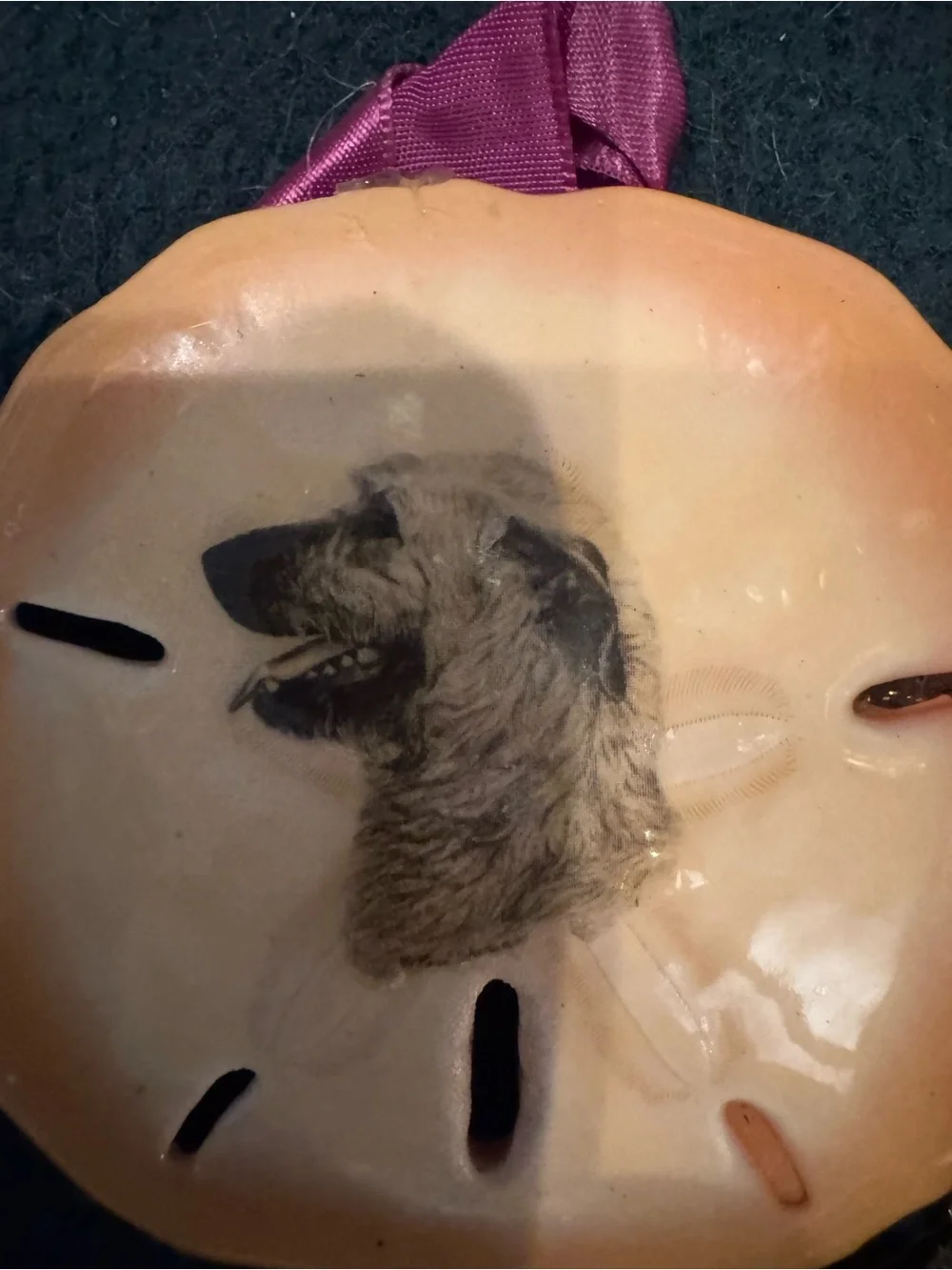 Hand-crafted Dog real Sand Dollar Ornaments - Beige
